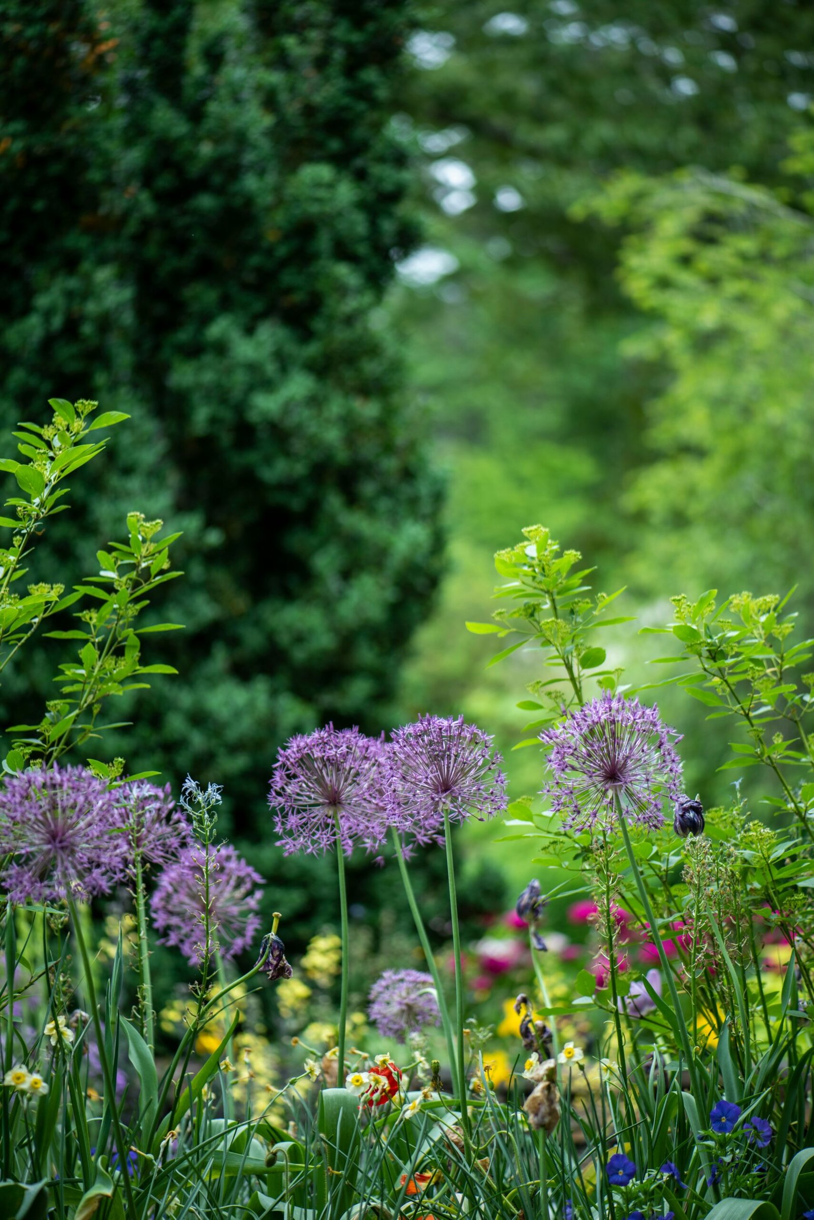 The Ultimate Guide to Planning a Low-Maintenance Garden
