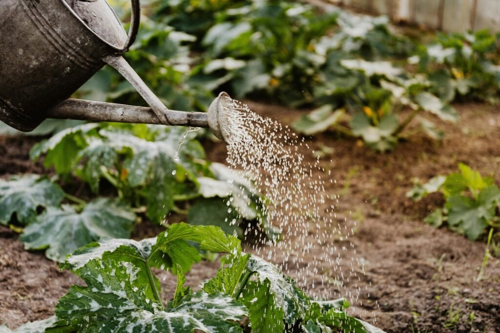 10 Plants That Can Tolerate Overwatering